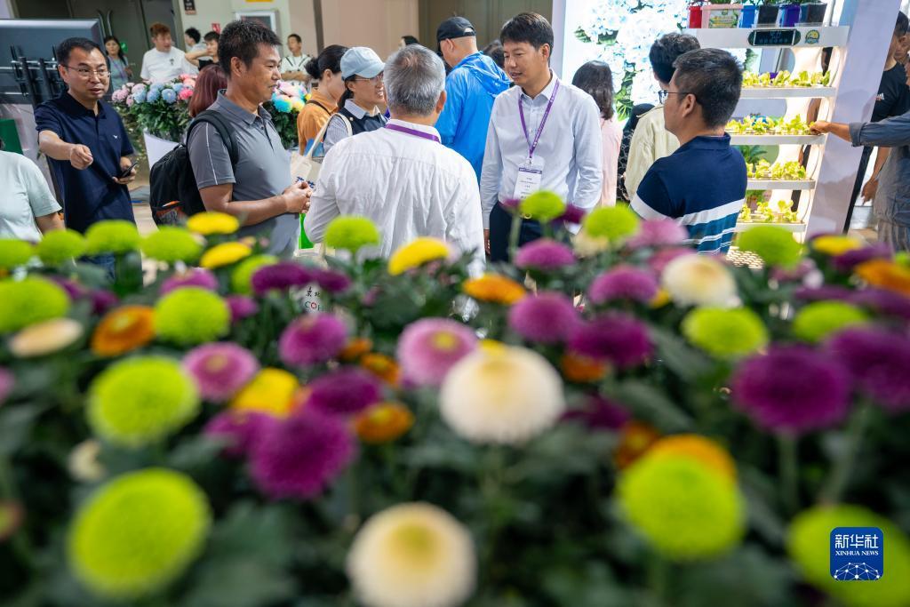 圣盛人人棋牌
